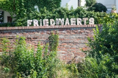 Friedwaerts