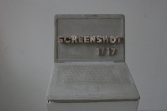 screenshot 1/17