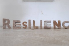 RESILIENCE